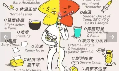 蝉肉的功效网 :分享蝉肉功效医典-蝉肉的功效作用与主治与用量知识