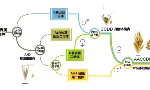 蝉肉的功效网 :分享蝉肉功效医典-蝉肉的功效作用与主治与用量知识