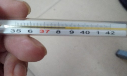 荨麻疹吃什么菜治疗最有效